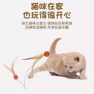 Feather <b>Cat</b> <b>Toy</b> Ball With Basketball And Soccer Pattern Boredom Buster For <b>Cats</b> Manual <b>Interactive</b> Play - Product Image 3
