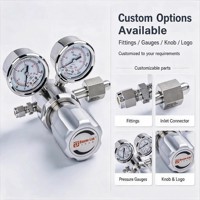 Régulateur de pression d'azote à haute pression avec deux manomètres, régulateur de gaz haute pression en acier inoxydable SS316L, GPL, Hélium, divers gaz, usage en laboratoire