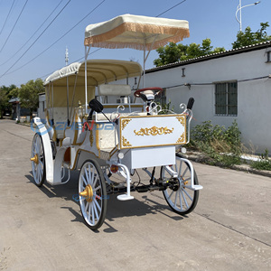 Charrette de tourisme, chariot européen à chevaux, charrette citrouille, charrette de mariage, charrette électrique à chevaux - Product Image 5