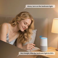 Interruptor de Luz Táctil Regulable de 2 Canales con Temporizador, 250V 10A, Estándar Americano, Inalámbrico, Compatible con Alexa y Google Assistant para Hogar y Oficina