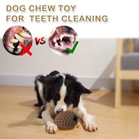 Jouet à mâcher en forme de cône de pin en caoutchouc de haute qualité avec matériau TPR durable pour chiens de petite, moyenne et grande taille, pour jouer à l'intérieur et à l'extérieur