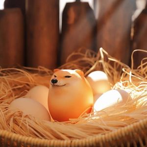 <b>Egg</b> Saver Dog <b>Egg</b> Shiba Inu Cartoon Plastic Stress Relief Toy For <b>Egg</b> <b>Storage</b> - Product Image 4