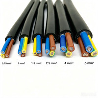 Kabel Tembaga Fleksibel Multicore Royal Cord 300/500V Berisolasi PVC 300/500V 2 3 4 5 Core 0.5~6.0mm2 Kabel Listrik