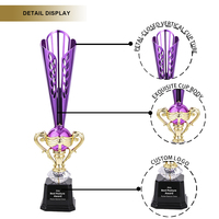 Trophée en plastique personnalisé violet et or, coloré, pour compétitions sportives, souvenir en plastique, fabriqué sur mesure en usine