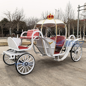 Preciosa Carruaje Eléctrica Real de Princesa Calabaza - Para Bodas al Aire Libre y Turismo, Certificación CE, Alta Calidad, Directo de Fábrica XCEGO - Product Image 2