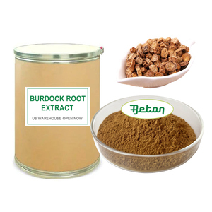 Chúng tôi kho 100% tinh khiết hữu cơ tự nhiên Fructus arctii chiết xuất cây ngưu bàng chiết xuất từ rễ 4:1 10:1 arctium lappa chiết xuất từ rễ bột - Product Image 1