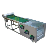 Goede Prijs Fruit Selecteren Apparatuur Amandel Blueberry Guave Grading Sorteren Sizing Machine