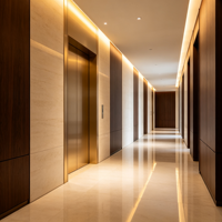 Ascenseur résidentiel pour villa, moteur 60Hz avec personnalisation de la tension pour les maisons familiales de Mexico, ascenseur pour maison résidentielle