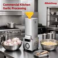 Machine à peler l'ail BlinkSong BS-DTP25, commerciale, automatique, en acier inoxydable, électrique, 25 kg par heure, pour restaurant et cuisine