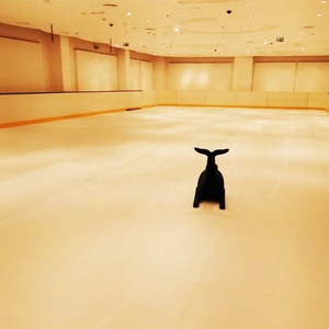 UHMWPE Di Động <span class=keywords><strong>Ice</strong></span> <span class=keywords><strong>Rink</strong></span>/Giá Rẻ Artifical <span class=keywords><strong>Ice</strong></span> <span class=keywords><strong>Skating</strong></span> <span class=keywords><strong>Rink</strong></span>/Tổng Hợp <span class=keywords><strong>Ice</strong></span> Tile - Product Image 6