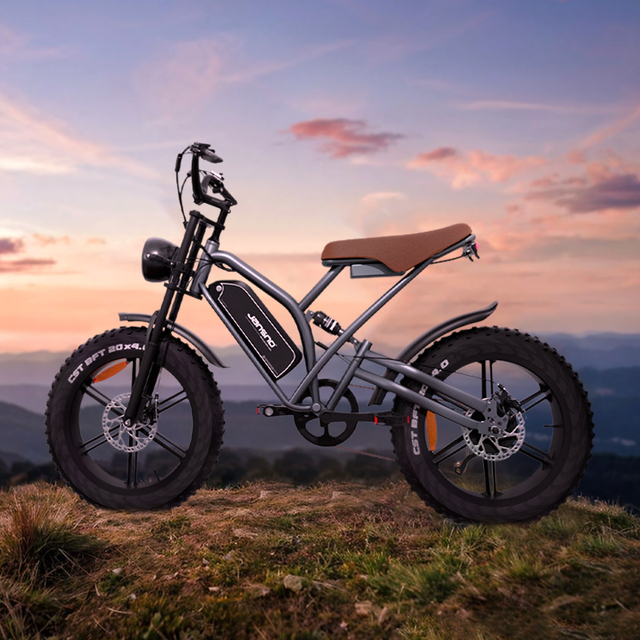 750W E Bike Fully Electric Bicycle 2 Wheels 20" Ebike Trekking E Sports Lithium Battery LCD Display 48V Rear Hub Motor X50