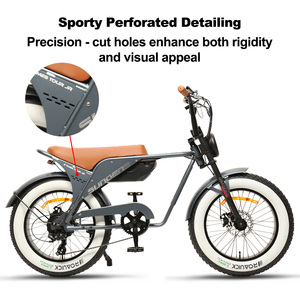 Bicicleta Eléctrica Económica con Llantas Gruesas de 20 Pulgadas, Modelo EU, Motor de 250w, 48v - Product Image 5