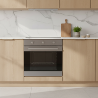 Oven Listrik Built-in OEM Stainless Steel 24 inci, Kontrol Timer Mekanis, Kelas Energi 6, Kapasitas 66L, 2200W, Tunggal, untuk Penggunaan RV dan Hotel