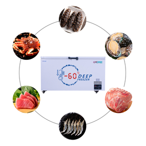 Congélateur coffre monotempérature 1000L -65°C en acier inoxydable, encastrable pour cuisine, avec refroidissement direct et affichage numérique - Product Image 4
