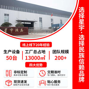 Cylindre hydraulique personnalisé de 20 tonnes pour la levée et les machines d'ingénierie télescopiques – Produit non standard - Product Image 3