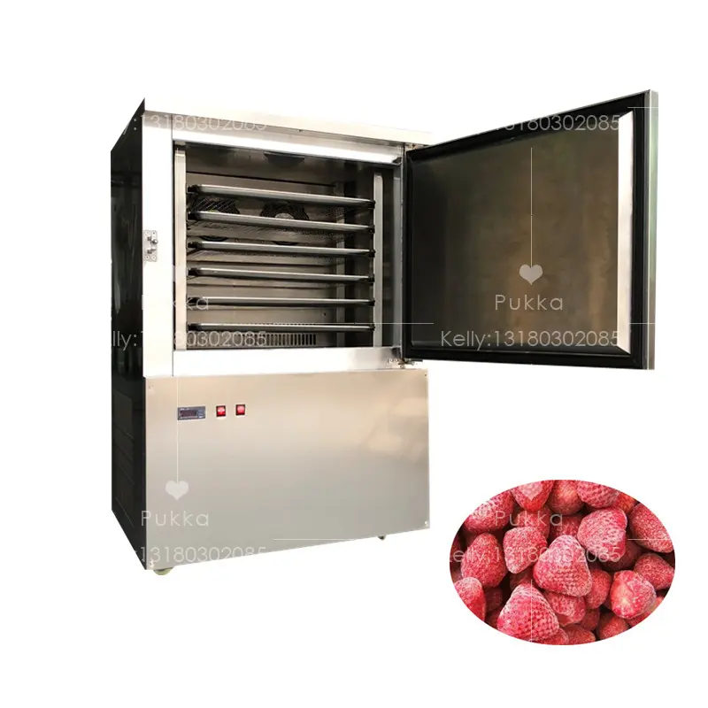 Dibuat Di Cina Kualitas Terbaik Blast Freezer Dijual Filipina Flash Freezer untuk Ikan/Daging Individu Pembekuan Cepat Harga