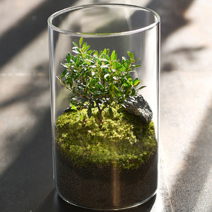 Bocaux en verre pour <span class=keywords><strong>plante</strong></span> en verre pour Offre Spéciale de mariage Vase de table de tailles multiples Décoration de la maison à vendre - Product Image 6