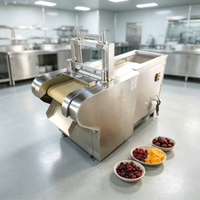 Machine de découpe automatique de fruits secs en cubes, dernière machine industrielle de découpe de mangues et de fruits secs, outils de découpe.