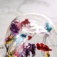 Nouveau design fait à la main haute teneur en borosilicate créatif fleur sèche double paroi tasse en verre