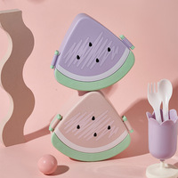 Déjeuner sans Bpa Boîte à bento écologique à la pastèque Récipient de stockage hermétique en plastique pour aliments