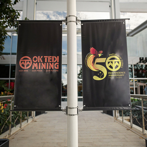 Postes de pancartas para desfile, soportes para pancartas de Farola, altura ajustable, antioxidante para uso en exteriores - Product Image 2