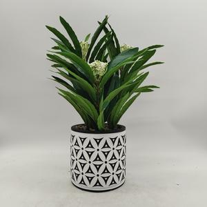 Mini <span class=keywords><strong>Eucalyptus</strong></span> artificiel en céramique de Style européen plante en <span class=keywords><strong>pot</strong></span> <span class=keywords><strong>Pot</strong></span> de pulpe émaillée décoration de sol de maison jardinières de fleurs d'herbe - Product Image 1