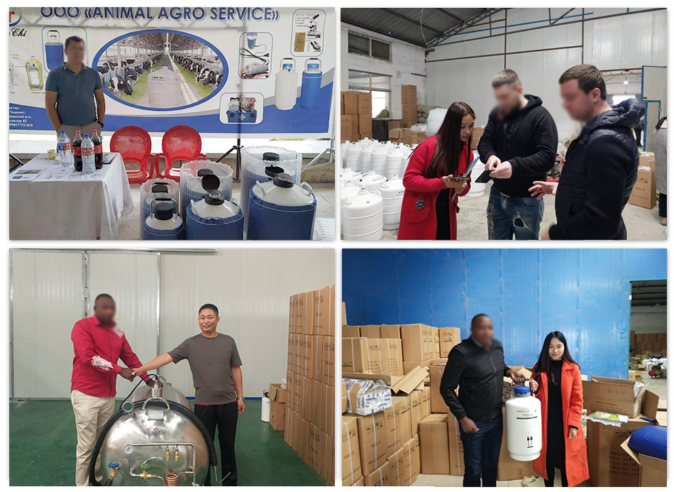 liquid nitrogen semen transport artificial insemination liquid nitrogen