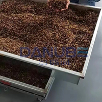 Hetelucht droogoven voor rode wormen, kevers, krekels, meelwormen, insecten, BSF larven droogmachine