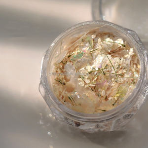 Novedad en accesorios para uñas <span class=keywords><strong>de</strong></span> flores secas <span class=keywords><strong>de</strong></span> 6 colores, pieza mixta <span class=keywords><strong>de</strong></span> concha Flash, polvo <span class=keywords><strong>de</strong></span> ópalo, Nube <span class=keywords><strong>de</strong></span> fantasía, brocado, purpurina, arte <span class=keywords><strong>de</strong></span> uñas - Product Image 3