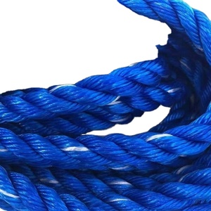 เชือกไนลอนถัก 3 เส้น PP Monofilament สำหรับบรรจุภัณฑ์พลาสติก ใช้สำหรับการประมงปลาทูน่าและการเกษตร ราคาแข่งขันได้ - Product Image 3