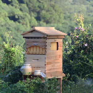 Đầy đủ thiết lập 7 cái tự động tự chảy Mật Ong Bee <span class=keywords><strong>Hive</strong></span> Nghề Nuôi Ong Trung Quốc linh sam gỗ Nghề Nuôi Ong Hộp tổ ong - Product Image 6