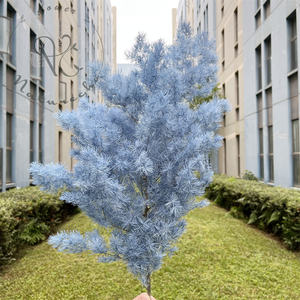 <span class=keywords><strong>Helechos</strong></span> de Ming Naturales Preservados al por Mayor, Asparagus Myrioeladus, Vegetación Ecológica de Bajo Mantenimiento, Año Nuevo Chino, Navidad - Product Image 1