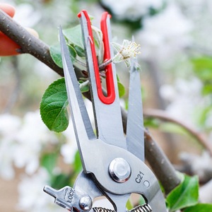 Herramienta de mano de jardín de doble filo industrial personalizable OEM Apple Picking Kiwi Tijeras de adelgazamiento de pera Diseño DE DOBLE BOCA para delgados - Product Image 3