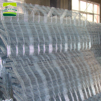 Cage de couvaison de volaille galvanisée à froid de type H à 4 niveaux pour 320 poussins en vente équipement d'élevage