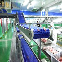 Otomatik Paketleme ve Gıda İşleme Hatlarında Sürekli Ürün Transferi için Yer Tasarruflu Çok Katmanlı Konveyör Sistemi