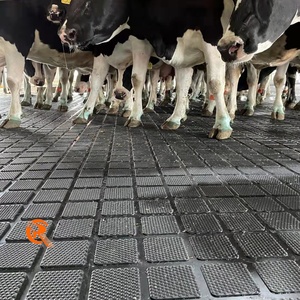 พื้นยางเพชรกันลื่นทนทานสำหรับคอกม้าคอกออกแบบได้ตามต้องการสำหรับฟาร์มปศุสัตว์ฟาร์มโคนม - Product Image 6