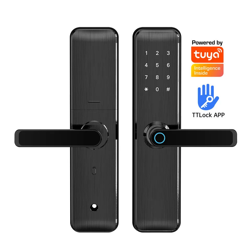 디지털 Tuya TTLock App Wifi 스마트 잠금 장치 Puerta 생체 인식 전자 지문 스마트 잠금 장치