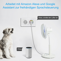 Prise intelligente tuya Alexa Google Home, bricolage, usine oem, américain, wifi, minuterie intelligente, pour climatisation