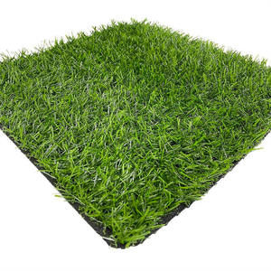 Terrain <span class=keywords><strong>de</strong></span> football en <span class=keywords><strong>cage</strong></span> en verre TURFLORY - Vente chaude - Arène <span class=keywords><strong>de</strong></span> football transparente <span class=keywords><strong>avec</strong></span> <span class=keywords><strong>filet</strong></span> <span class=keywords><strong>de</strong></span> sécurité - Product Image 2