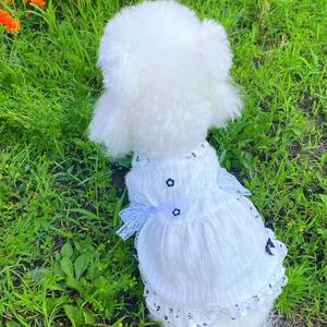 Summer <b>Cat</b> Princess Dress Pure White Floral Lace Breathable Pet <b>Clothes</b> For Small Dog Teddy - Product Image 4
