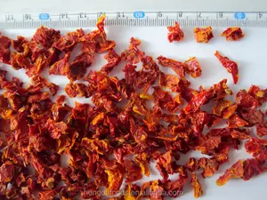 Sun Dried Tomato Powder AD Smell Baked Wholesale Bulk Prices Dried Clove From Indonesia 100 Ure Vegetable Powder Tomato Powder