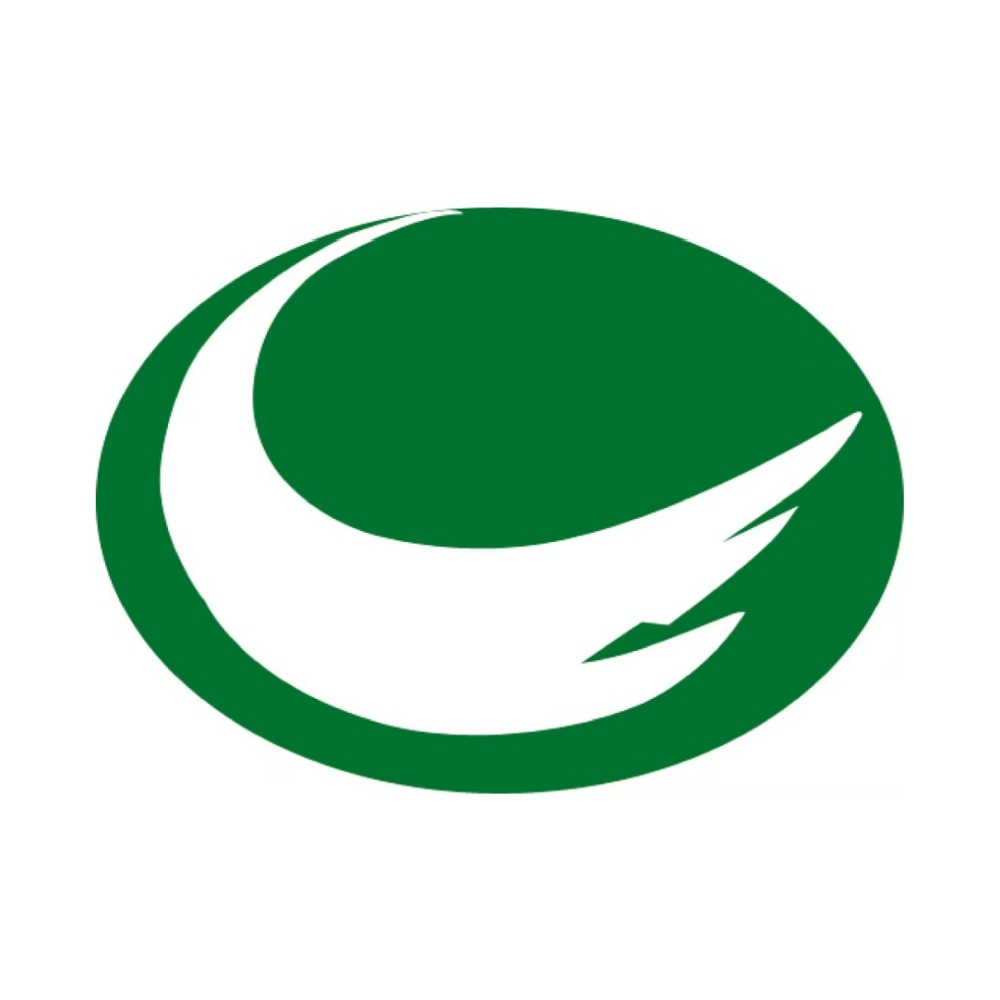 Chunfeng New Energy Technology Co., Ltd. logo