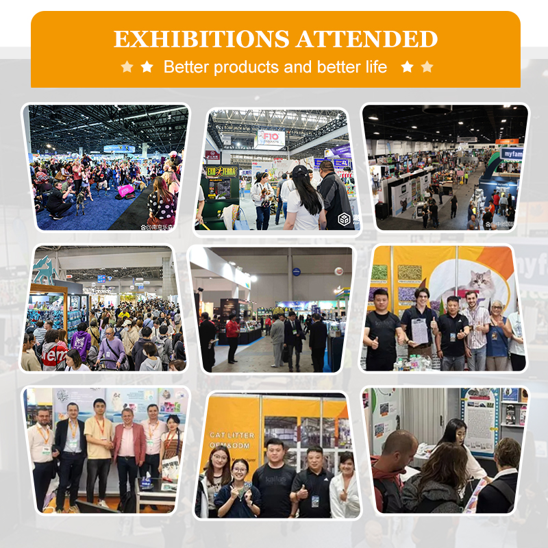 WoodCat Premium Eco-Friendly Cassava Cat Litter - Natural Strong Clumping | Guangxi Mengzhua Pet Pro