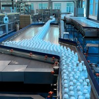 Ligne de production de machines de remplissage d'eau minérale en bouteille pour animaux de compagnie entièrement automatique 3 en 1, machine de remplissage de bouteilles d'eau