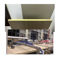 Fabricant de machines pour portes WPC, ligne d'extrusion de portes creuses WPC, équipement pour portes intérieures WPC PVC
