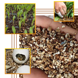 Sable de <span class=keywords><strong>vermiculite</strong></span> pour la plantation, mélange pour la culture de fleurs et de légumes, spécial pour la culture de semis et l'éclosion des tortues - Product Image 4