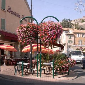 Sistemas de Jardín Vertical, Macetas Colgantes de Plástico Económicas, Macetas Decorativas para Interiores, Macetas Colgantes para Jardín, Venta al por Mayor - Product Image 4