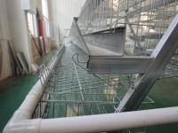 Cage à poules pondeuses en fil métallique galvanisé pour 2000 poulets, idéale pour les fermes en Tanzanie, au Ghana et au Nigéria