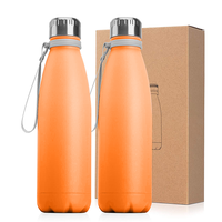 Bouteilles d'eau en acier inoxydable de 500 ml, forme cola, avec revêtement en poudre dégradé bleu-violet, pour sublimation