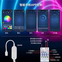 Lampu LED RGB Pintar 33Leds/m dengan Pola Jala 360 Derajat Dapat Diatur IP65 Tahan Air untuk Luar Ruangan Konektivitas USB